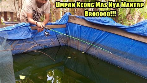 Mancing Ikan Nila Di Waduk Jatiluhur - Hobi Mancing