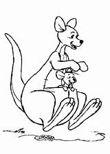 Free Printable Kangaroo Coloring Pages For Kids sketch template