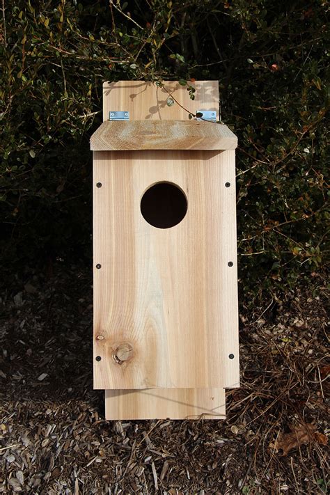 Build A Screech Owl Nesting Box From A Cedar Board - Hobby Farms