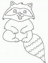 Raccoon Coloring Page sketch template
