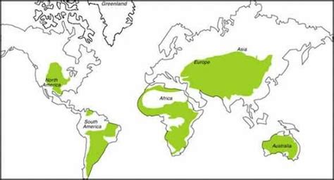 Tropical-Rainforest-Map | Praderas, Biomas, Fauna de la selva