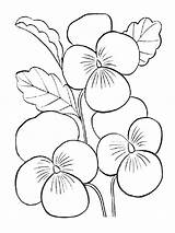 Purple Coloring Pages At GetColoringscom  Free Printable Colorings sketch template