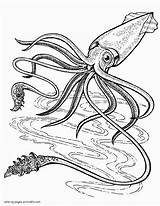 Sea Animal Coloring Pages For Kids  Printable sketch template