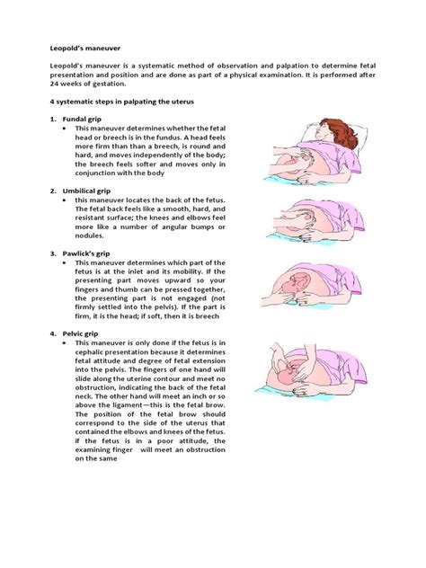 Leopold's Maneuver | PDF