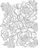 Petrykivka Painting Coloring Pages sketch template