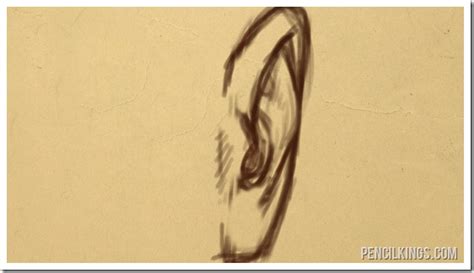 How To Draw Ears Front View - alter playground