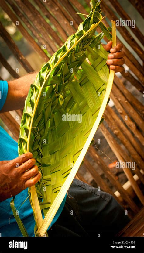 Palm leaf basket hi-res stock photography and images - Alamy