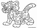 Jaguar Coloring Pages  Free Printable Kids sketch template