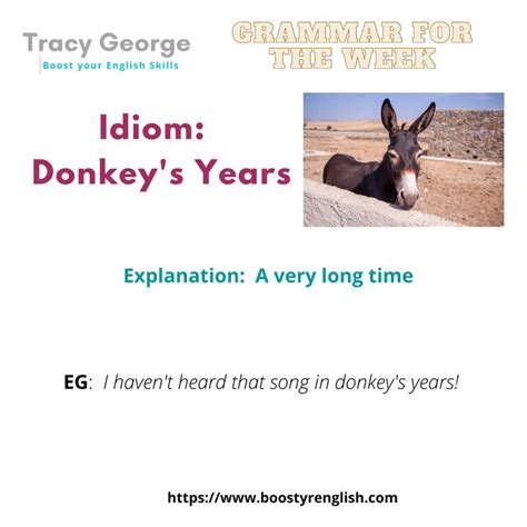 Grammar for the Week: Idiom – Donkey’s Years | English, Idioms ...