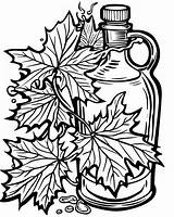 Maple Leaf Coloring Pages sketch template