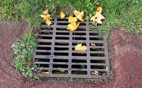 French Drain vs. Sump Pump: 3 Key Differences and How to Choose the Best One for You - A-Z Animals