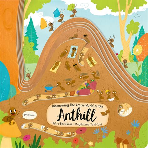 Discovering the Active World of the Anthill – Fox Chapel Publishing Co.