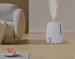 Say Goodbye to Dry Air:Introducing the Airdog MOI Evaporative Humidifier!
