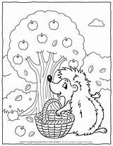 Free Fall Coloring Page  Hedgehog With Apple Tree For Kids sketch template