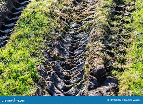 Tractor Tire Tracks in Green Grass Stock Image - Image of concept, background: 119206893