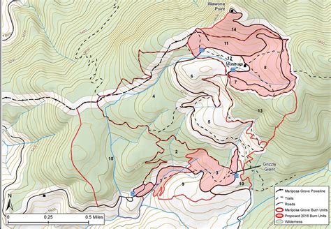 Prescribed Fire Underway In Mariposa Grove | Sierra News Online