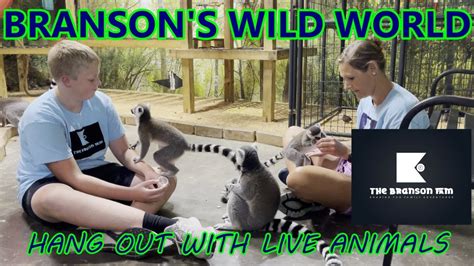 Branson's Wild World | Branson (Missouri) | Things To Do - YouTube