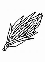 Corn Coloring Pages Printable For Free Download sketch template