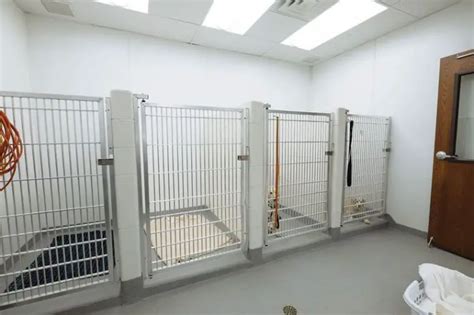 30+ Best Indoor Dog Kennel Ideas | Page 2 of 9 | The Paws