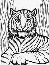 Entrelosmedanos Printable Tiger Coloring Pages sketch template