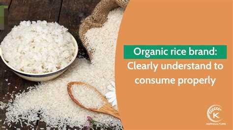 Which organic rice brand should you know