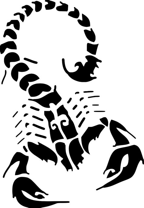 SVG > Skorpion - Kostenloses SVG-Bild & Symbol. | SVG Silh