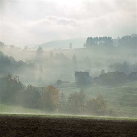 Free Images : tree, nature, horizon, cloud, fog, sunrise, mist, field, sunlight, morning, dawn ...