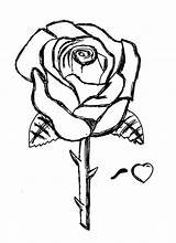 Rose Coloring Pages Printable  Word Searches sketch template