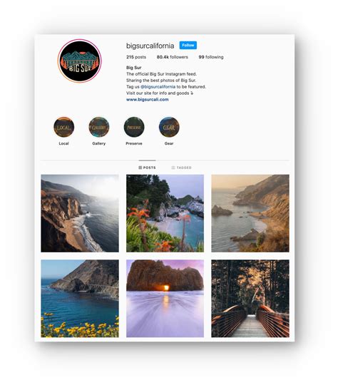 Instagram Profile Template