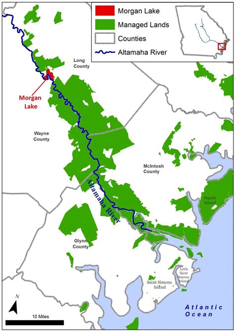 Nature Conservancy buys, protects Morgan Lake along Altamaha River ...