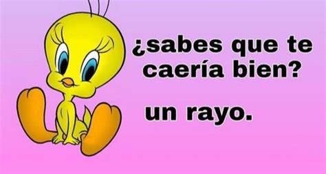 Top memes de Piolin en español :) Memedroid