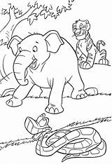 25 Free Jungle Coloring Pages For Kids And Adults sketch template