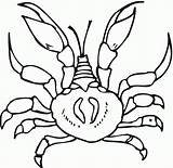 Free Printable Crab Coloring Pages For Kids sketch template