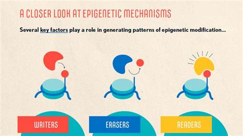 Cancer Epigenetics | Technology Networks