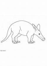 Oso Hormiguero Tamandua Bandeira Anteater Hormigero Osos Hormigueros  sketch template