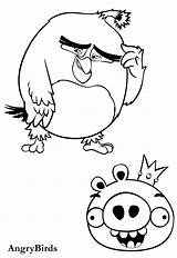 14 Angry Bird Coloring Pages  Rovio Birds Sheets sketch template