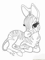 Baby Animal Coloring Pages In Color sketch template