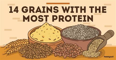 14 Grains With The Most Protein (Complete List) - FeastGood.com