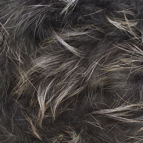 Gray fur texture stock photo. Image of clothing, decorative - 47484886