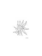 Bamboo coloring Pages sketch template