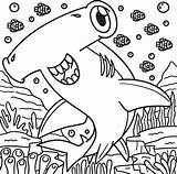 Hammerhead Shark Coloring Pages sketch template