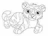 Tiger Coloring Pages Kids sketch template