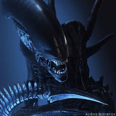 Xenomorph GIFs - Find & Share on GIPHY