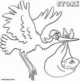 Stork Coloring Pages  To Download And Print Home sketch template