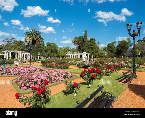 Bosques de Palermo park in Palermo, the rose garden (El Rosedal de ...