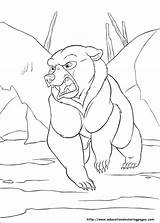 Brother Bear 2  Educational Fun Kids Coloring Pages And Preschool sketch template
