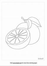 Free Grapefruit Coloring Page  Printables Kidadl sketch template