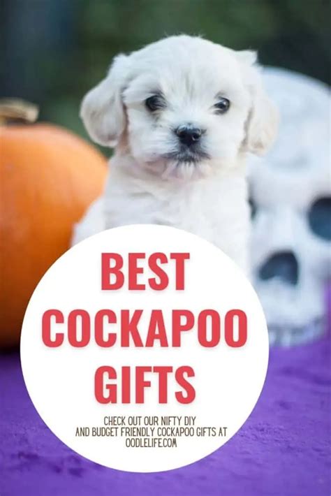 21 Cute Cockapoo Gifts For Cockapoos And Cockapoo Owners [+ DIY ...