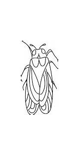 Disegno di Cicala Da Colorare  Pagine Gratis sketch template