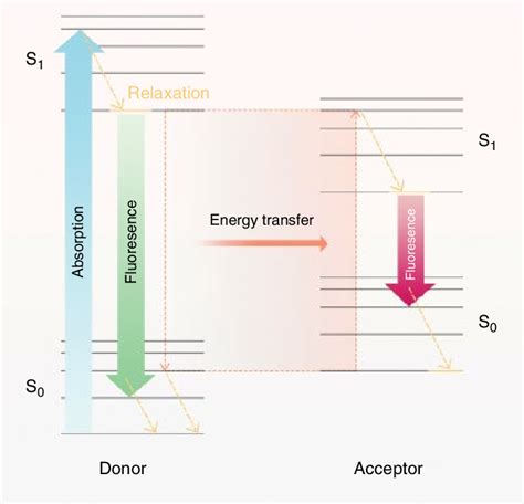 3 A resonance energy transfer Jablonski diagram. | Download Scientific ...